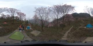 北川辛荑花 (4)